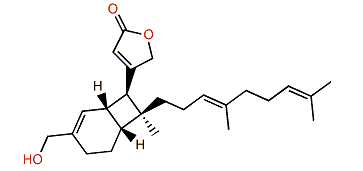 (4R,5S,10R,11S)-Hippolide J